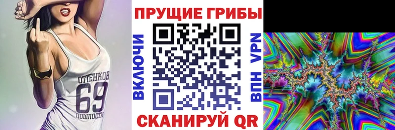 ОМГ ОМГ онион  купить   Барыш  Псилоцибиновые грибы GOLDEN TEACHER 
